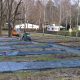 Bau Minigolfanlage im Waldbad 30.01.2018